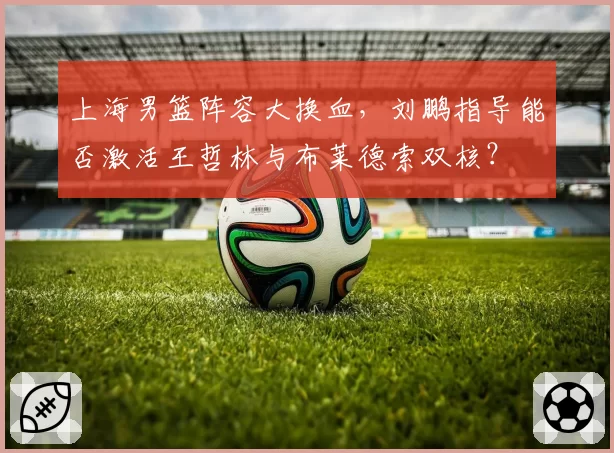 上海男篮阵容大换血，刘鹏指导能否激活王哲林与布莱德索双核？